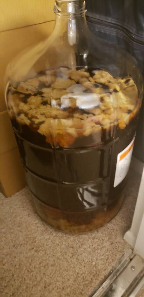 20181209_111112.jpeg