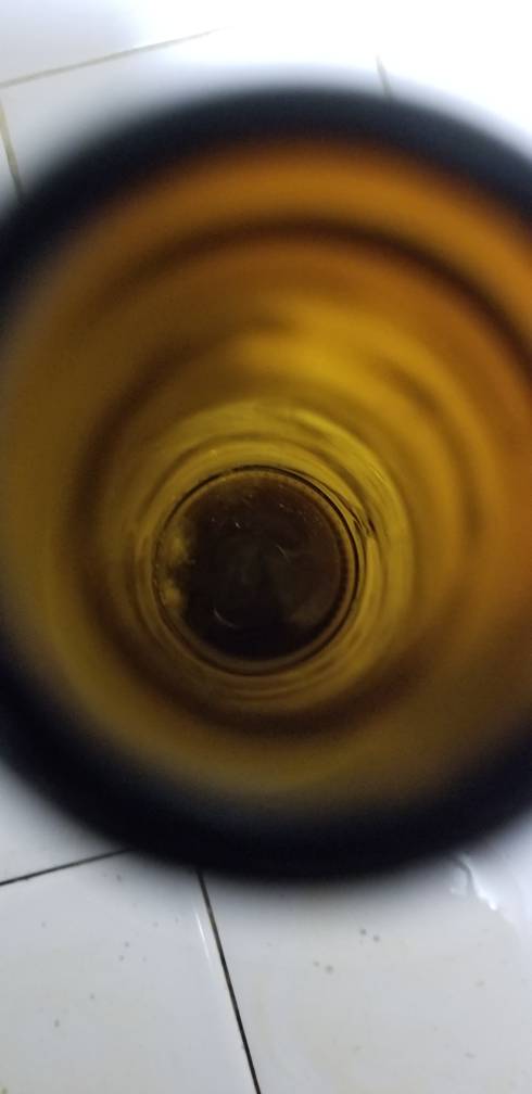20181208_213119.jpeg