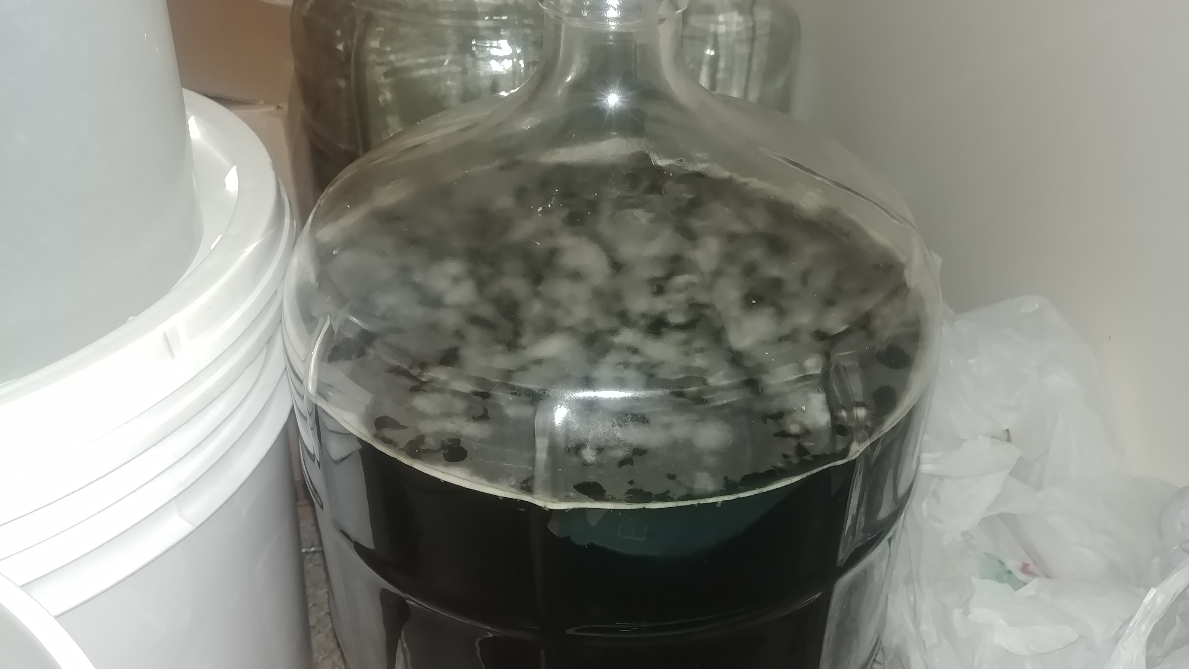 Fermentation.jpg