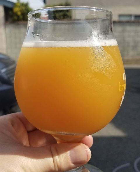 NEIPA.JPG