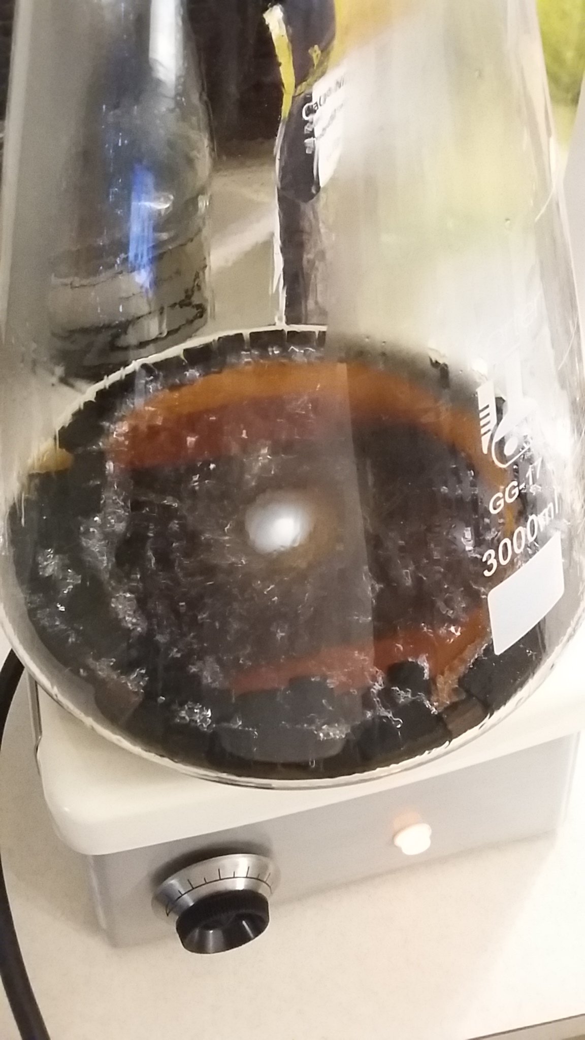 20181220_173753.jpg