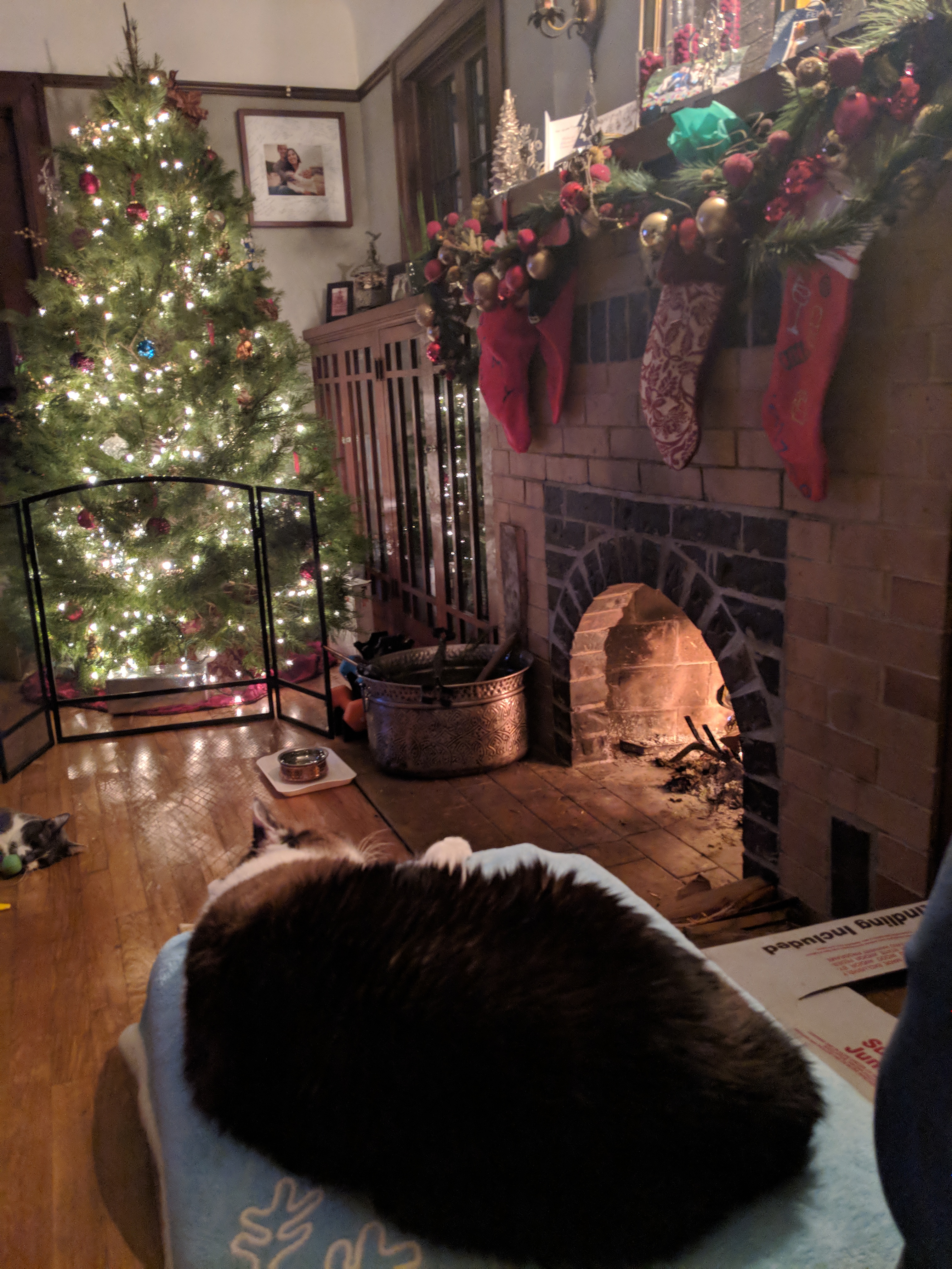 IMG_20181224_214004.jpg