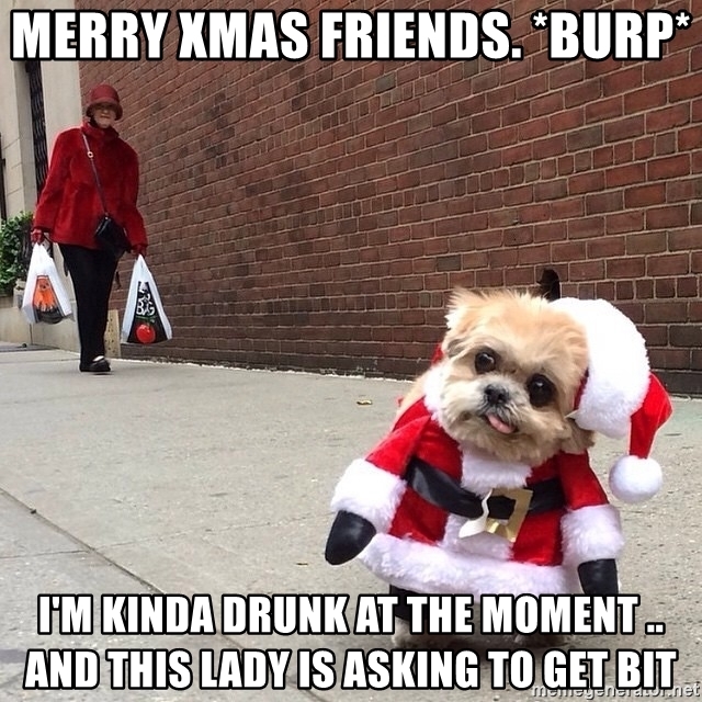 merry-xmas-friends-burp-im-kinda-drunk-at-the-moment-and-this-lady-is-asking-to-get-bit.jpg