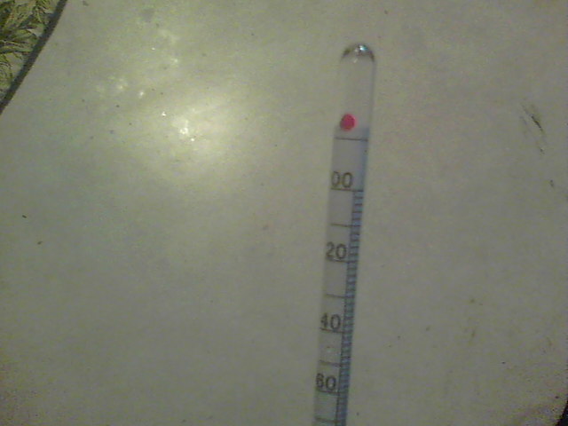 100_0540.JPG