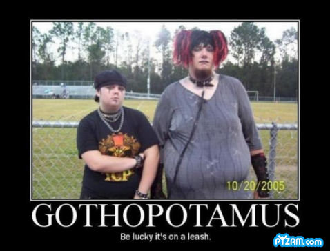 Gothapotamus_fba6f9_691761.jpg