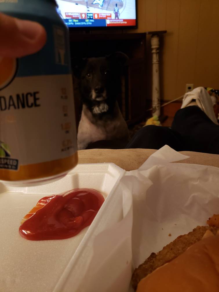 20190108_201844.jpeg