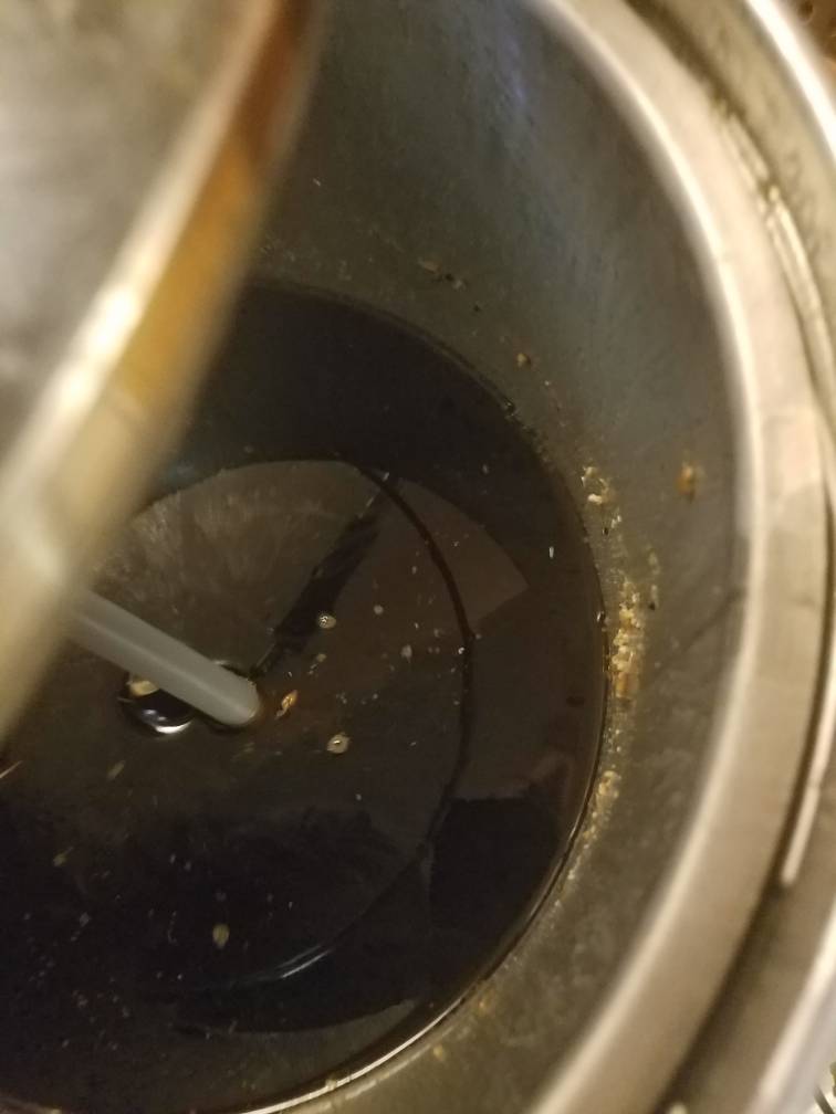 20190114_144625.jpeg