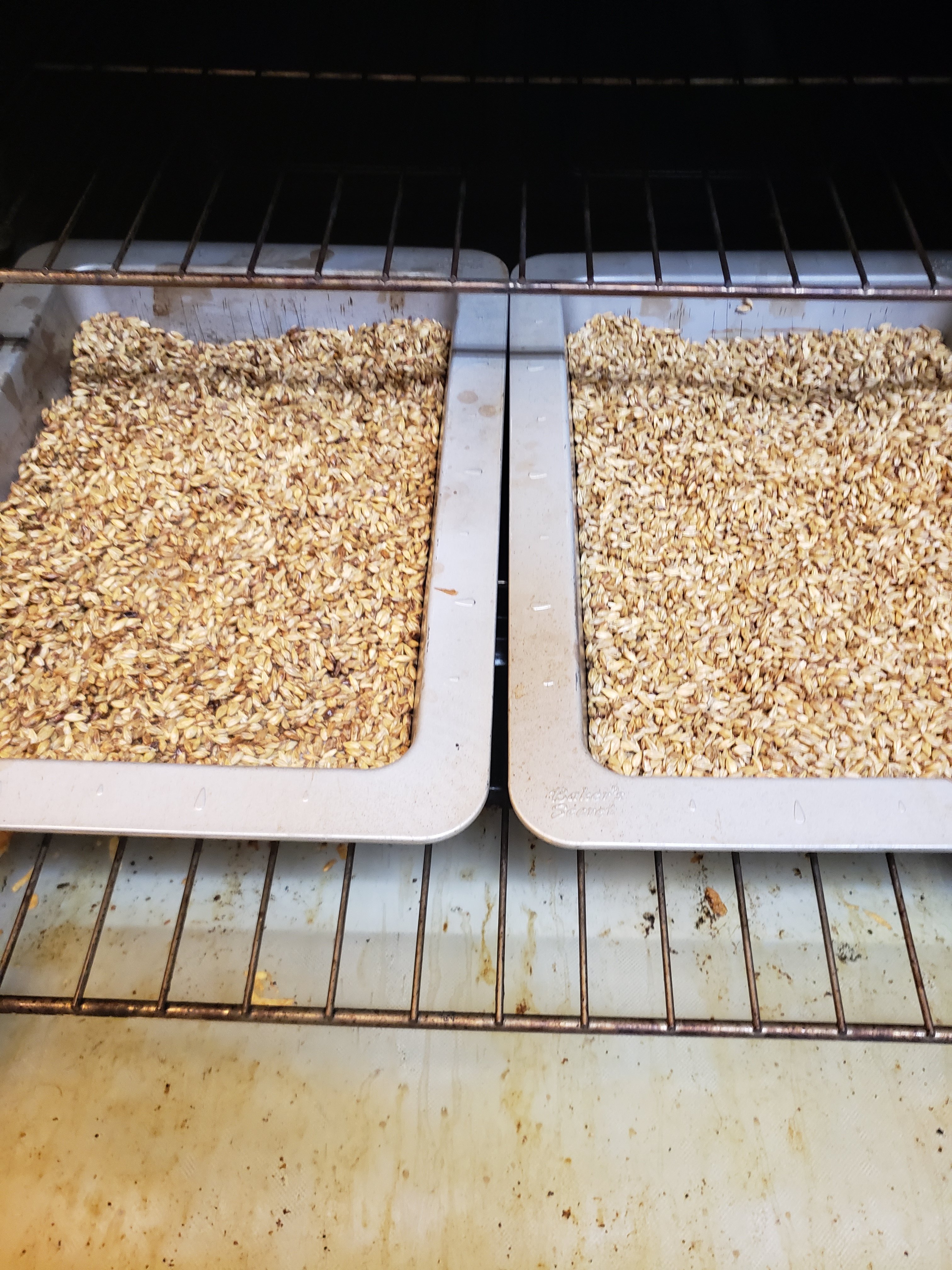 20190120_101742[1].jpg