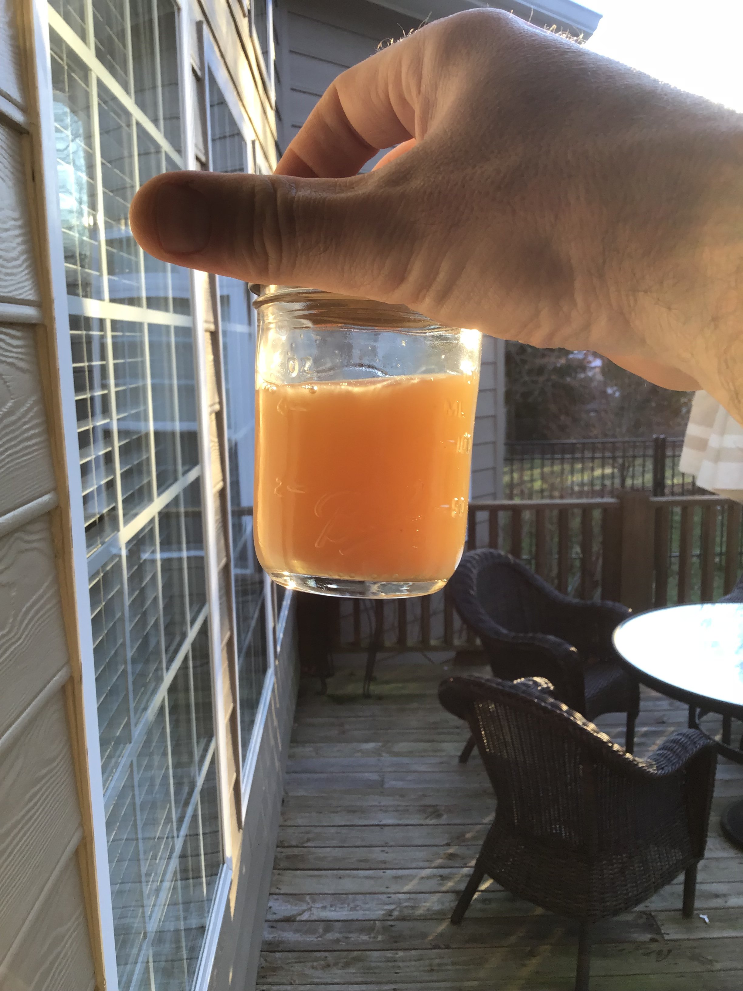 95F66AFC-C2E7-42EE-B350-0564E50512FA.jpeg