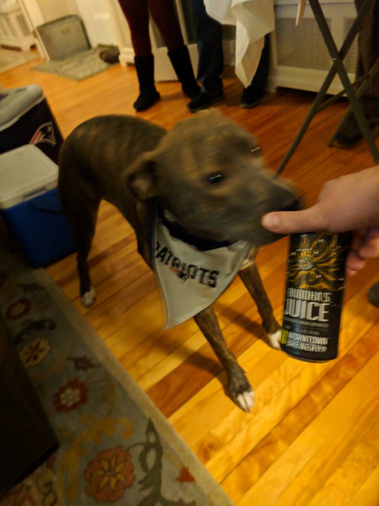 IMG_20190203_190033.jpeg