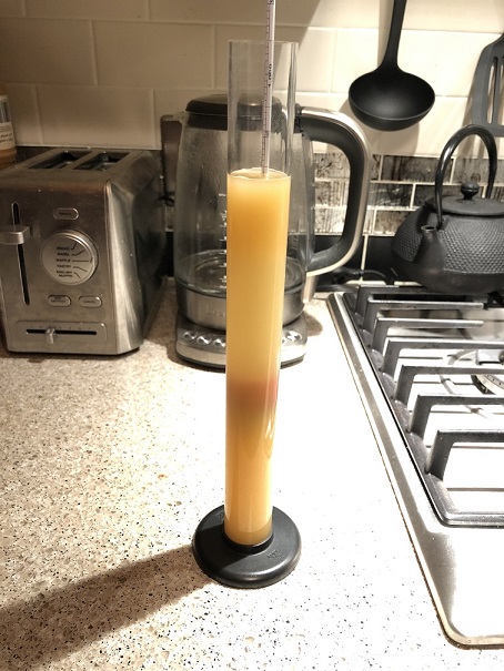 dryhop_expt_sample_pre_dryhop.jpg