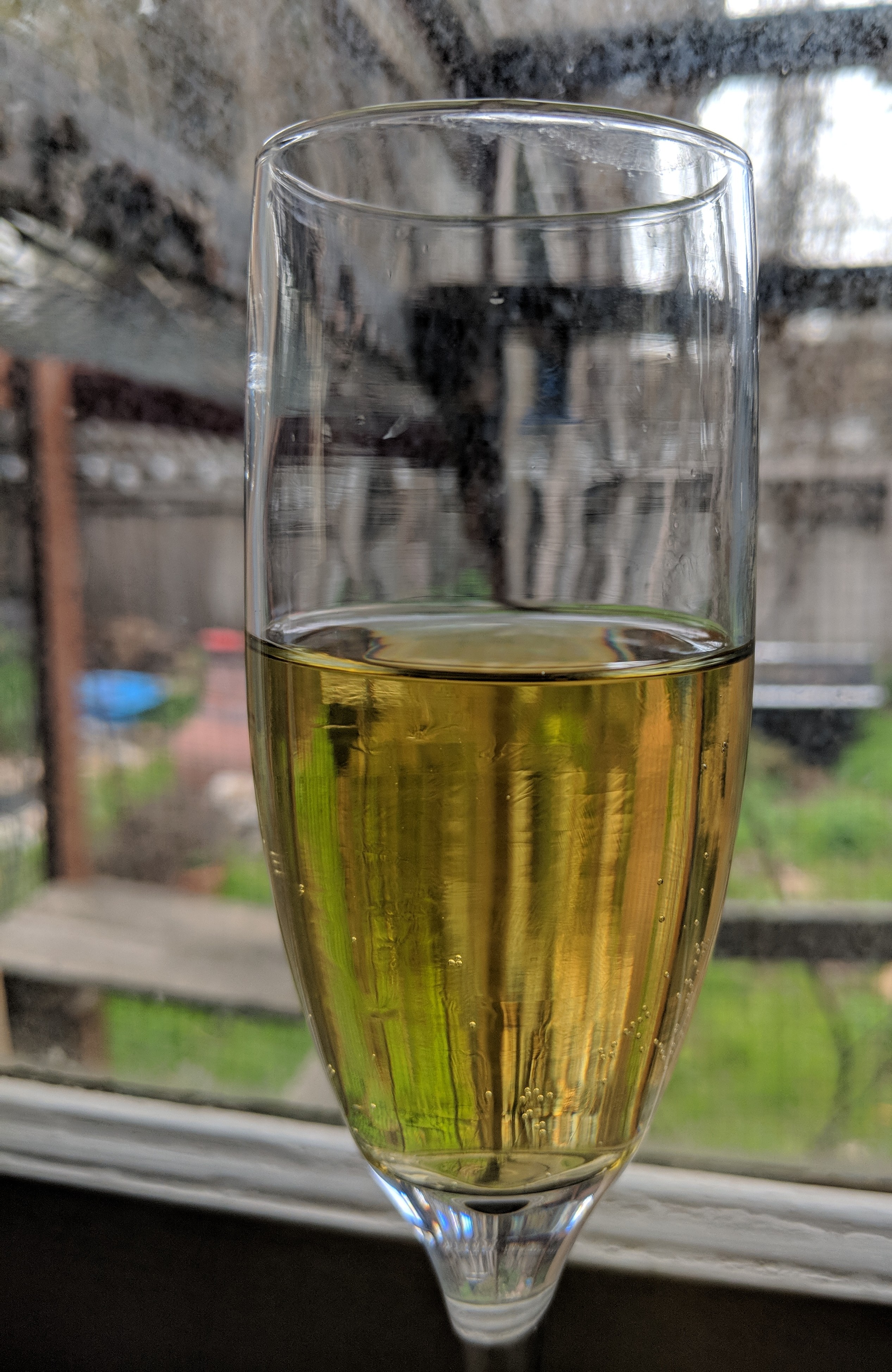 IMG_20190220_103102.jpg