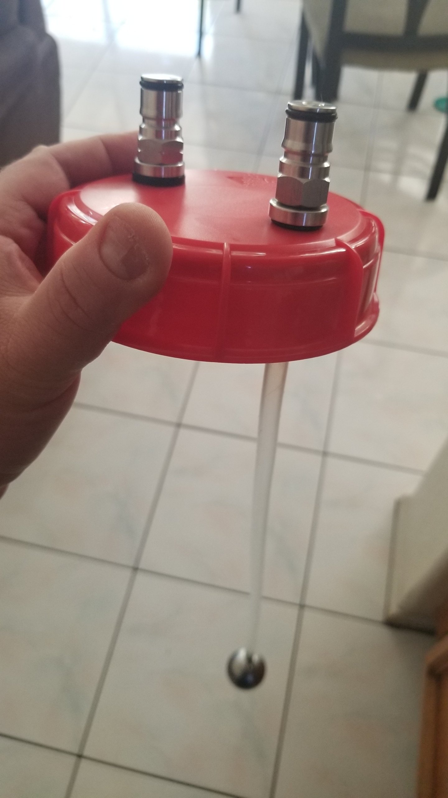 20190223_113737.jpg
