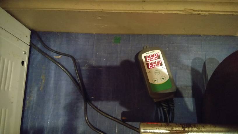 20190223_193553.jpeg
