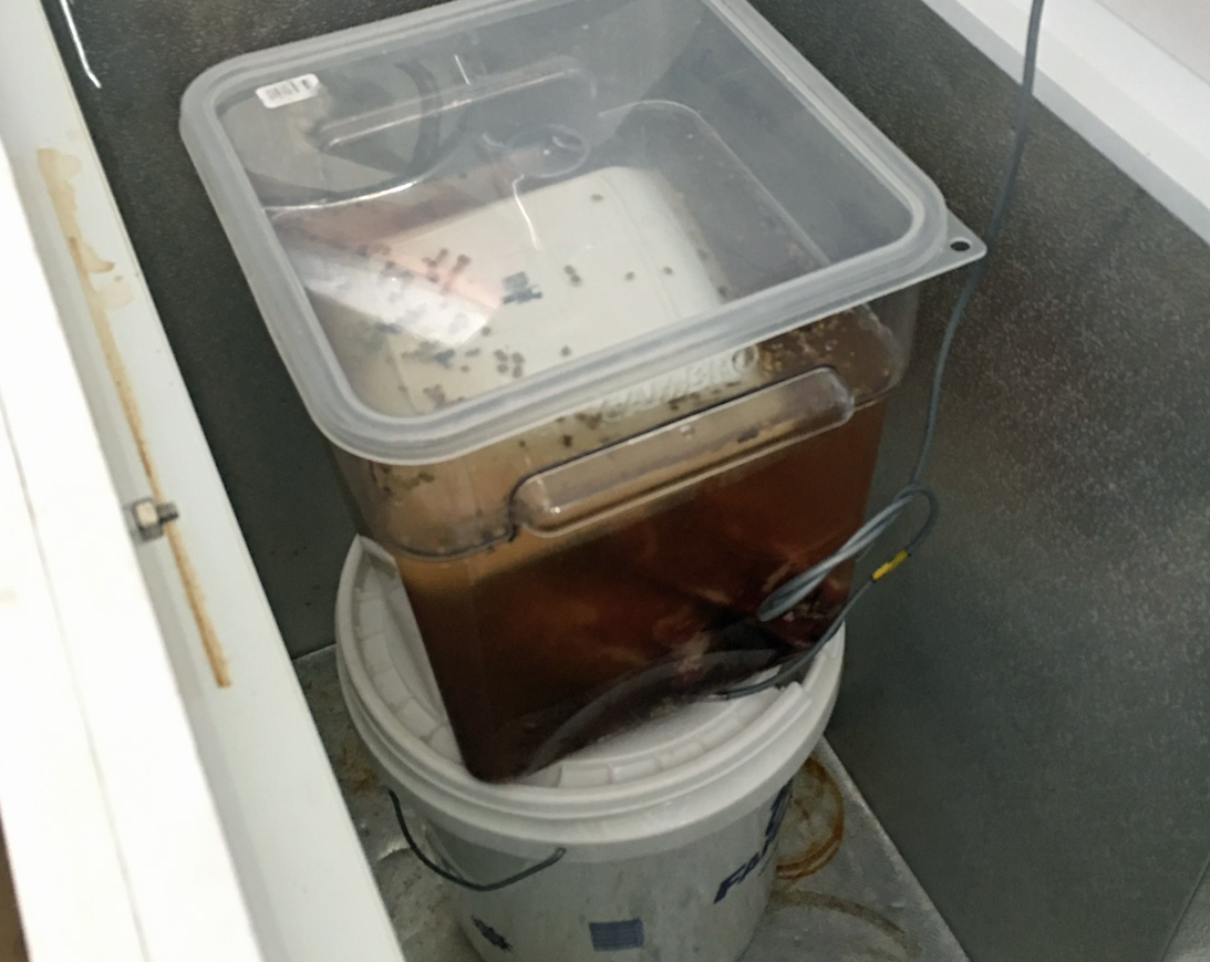 Brisket_Brine20190301.jpg