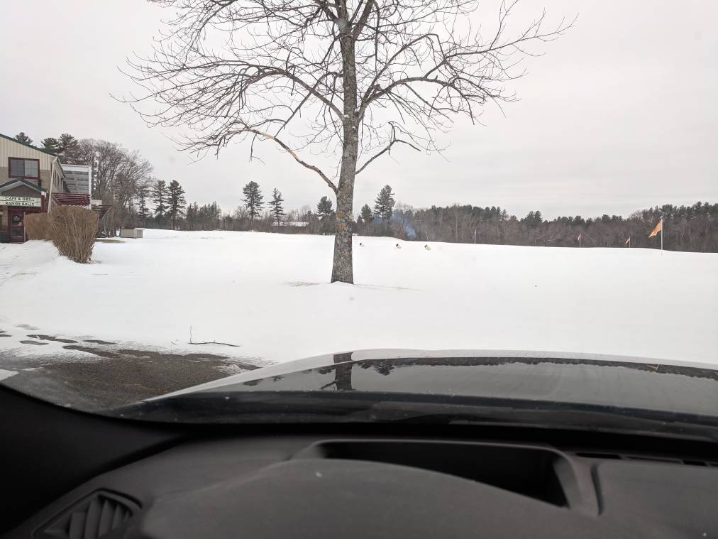 IMG_20190302_155501.jpeg