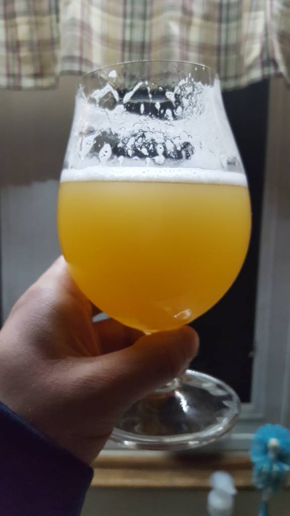 20190310_233145.jpeg