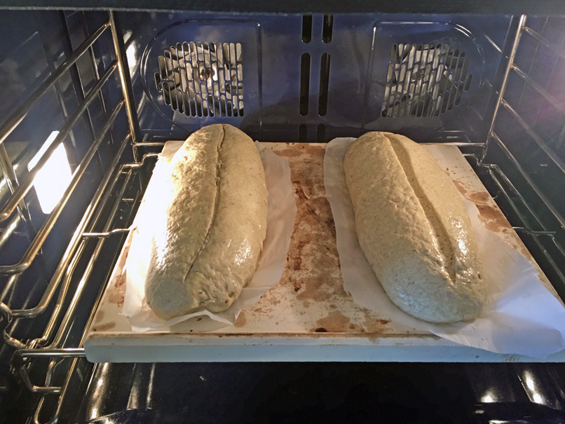 DeliStyleRye_Oven20190314sm.jpg