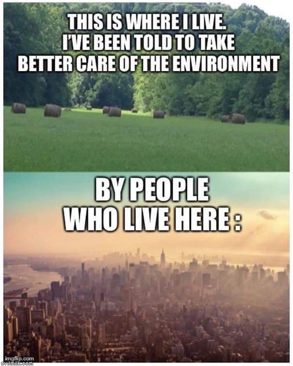 enviro.jpg