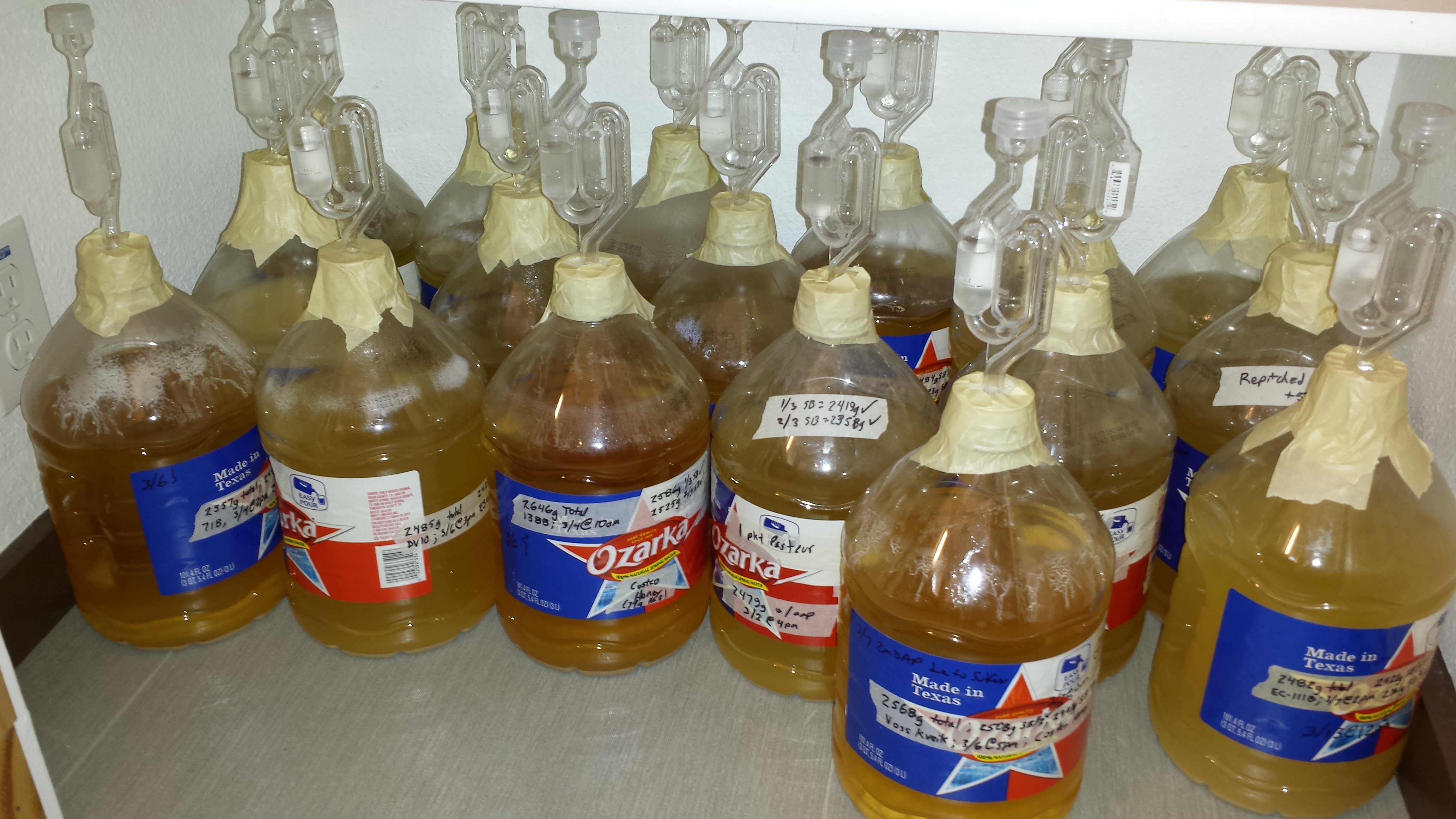 Yeast_Test_Phase1.jpg