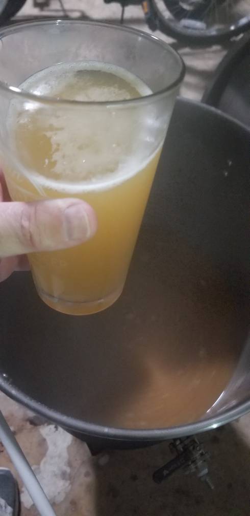 20190317_003002.jpeg