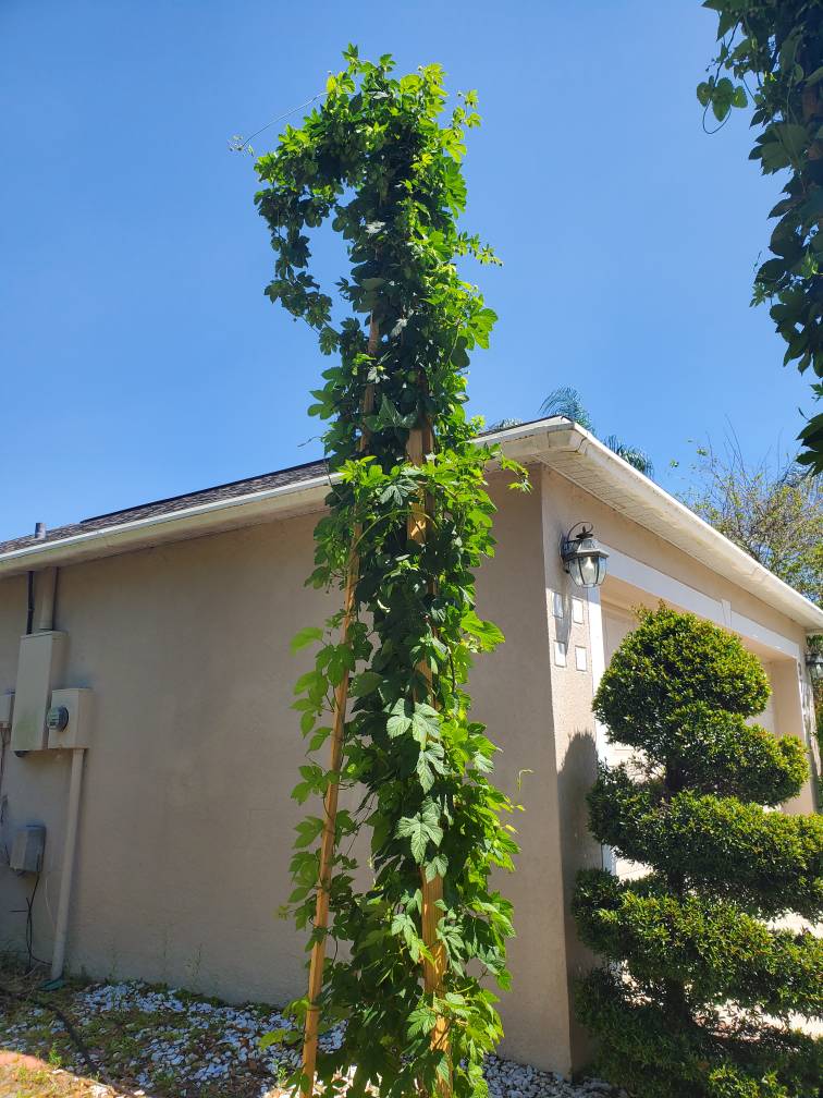 20190322_135819.jpeg