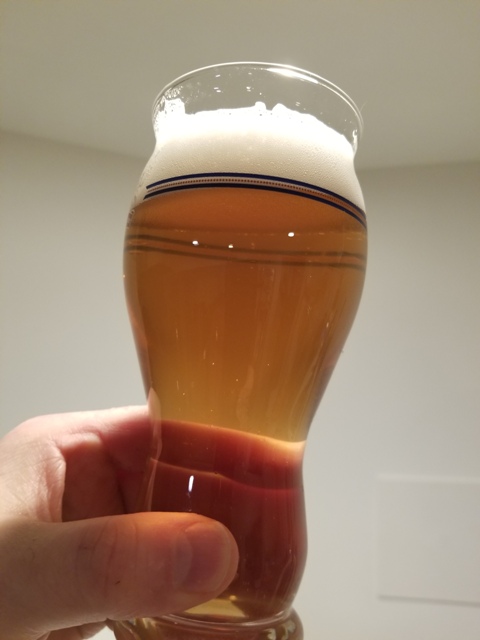 Mango Cream Ale-1.jpg