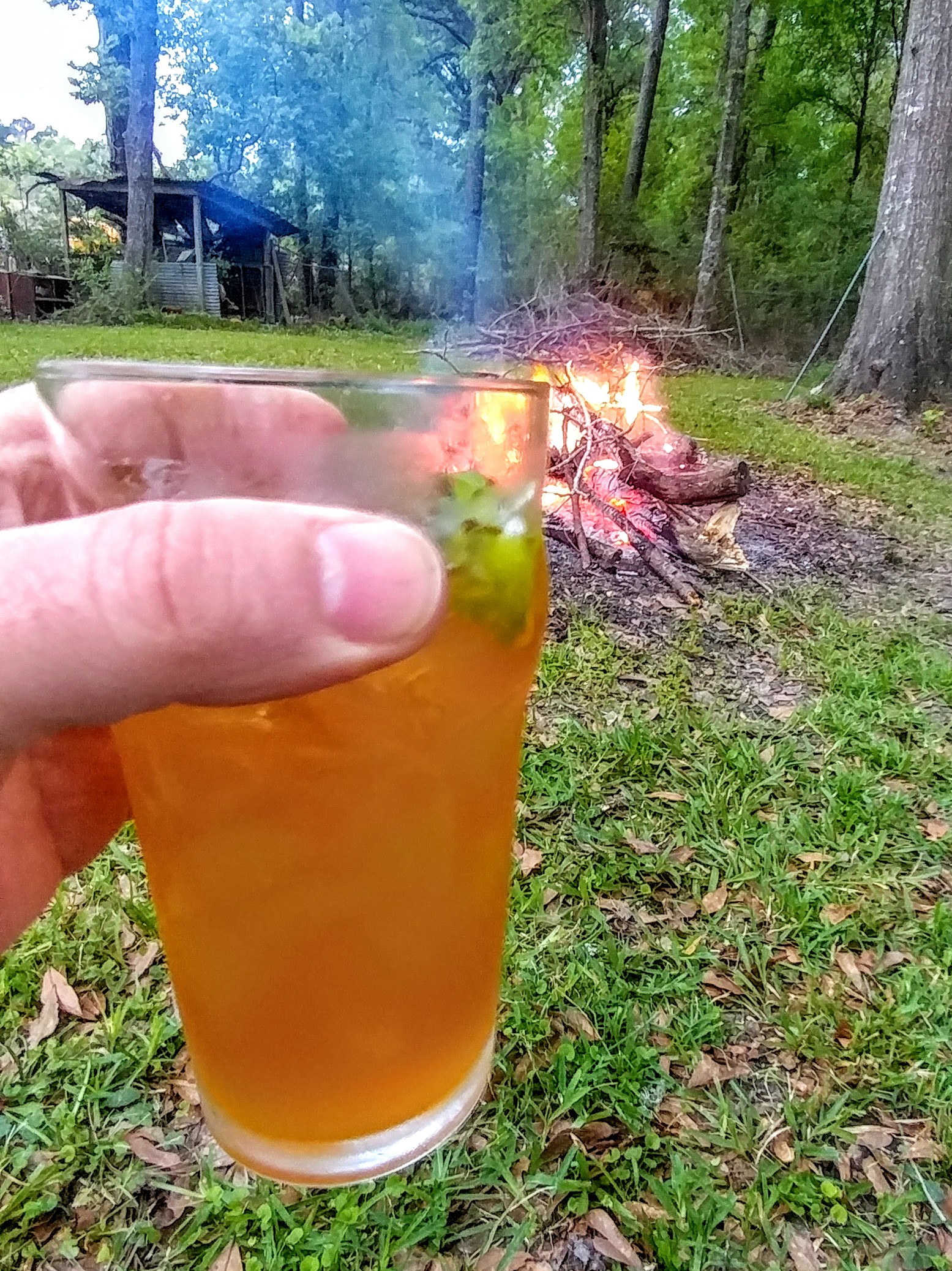 20190323_191608~2.jpg