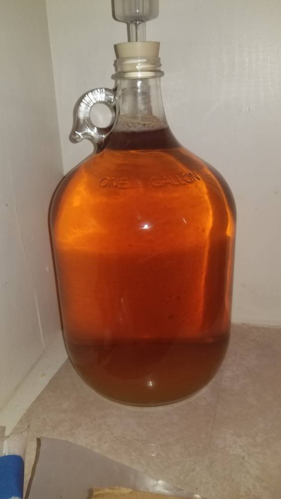20190321_193036.jpeg