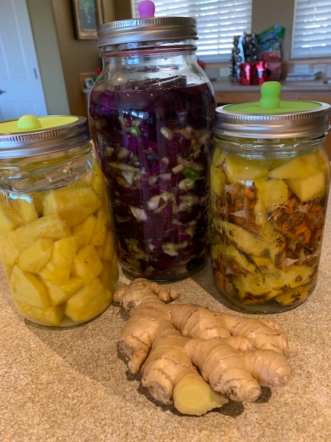 fermentation project 1.JPG