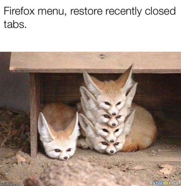 firefox1.jpg