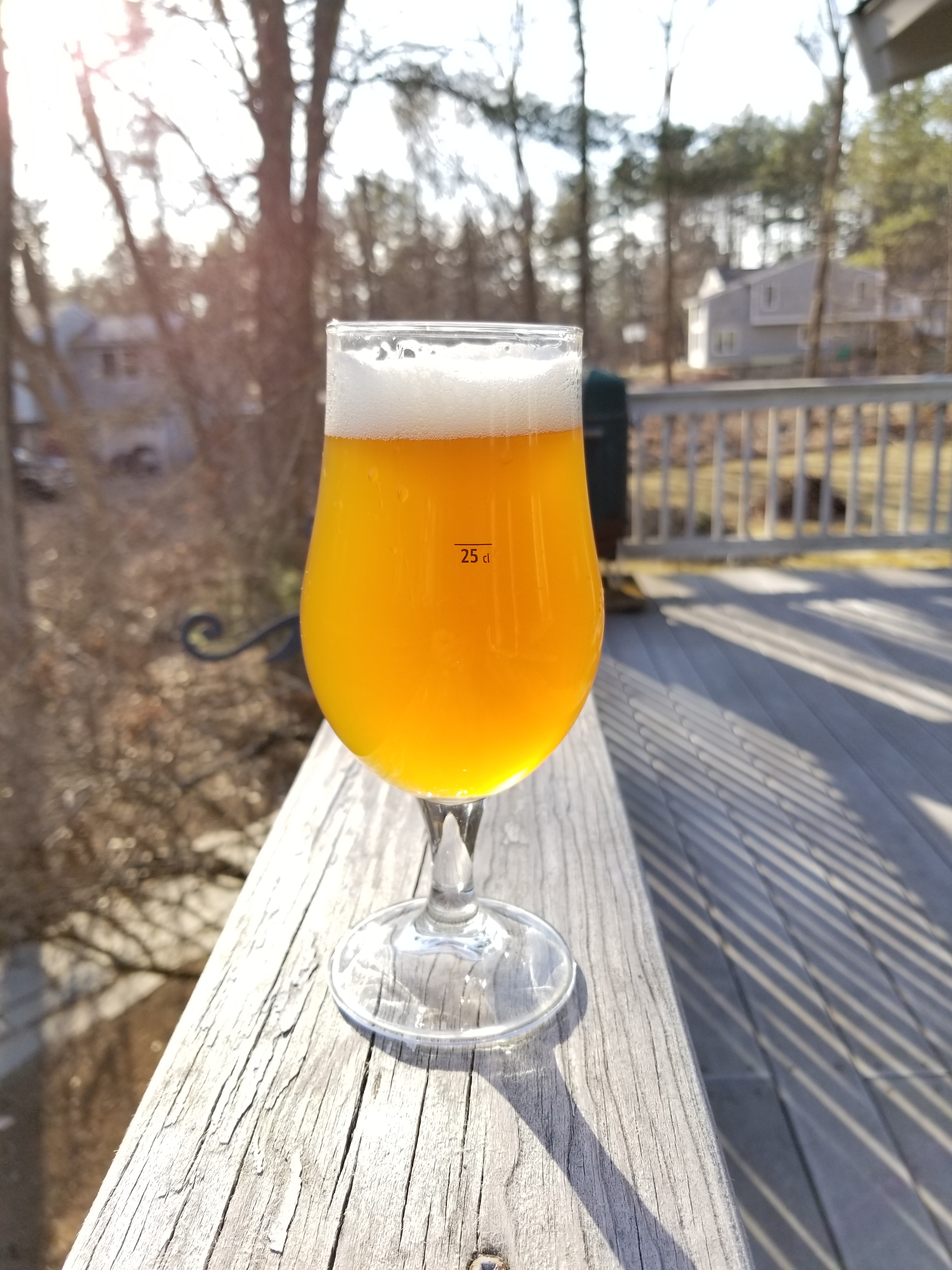 galaxy_neipa_31mar2019.jpg