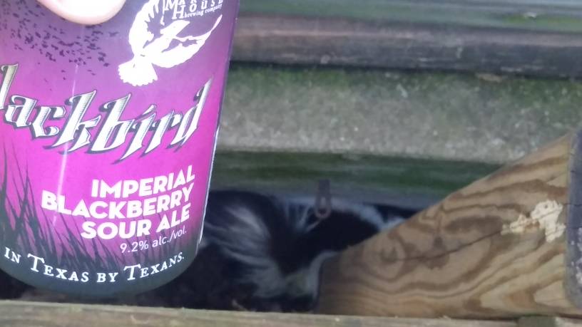 20190404_190342.jpeg