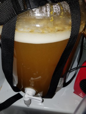 20190408_231204.jpg