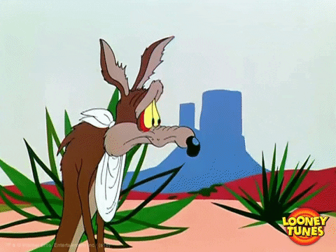 99893920-8DA2-4F1F-8054-DD84441B5844.gif
