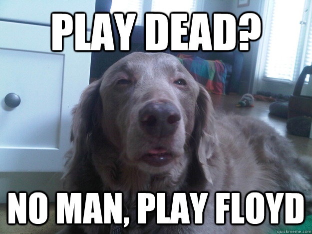 deadfloyd.jpg
