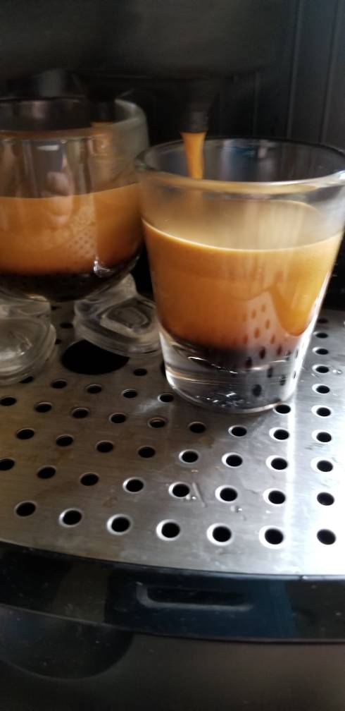 20190420_090219.jpeg