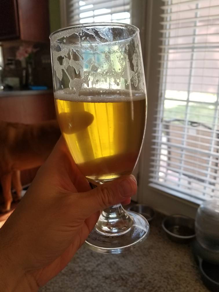 20190428_173718.jpeg