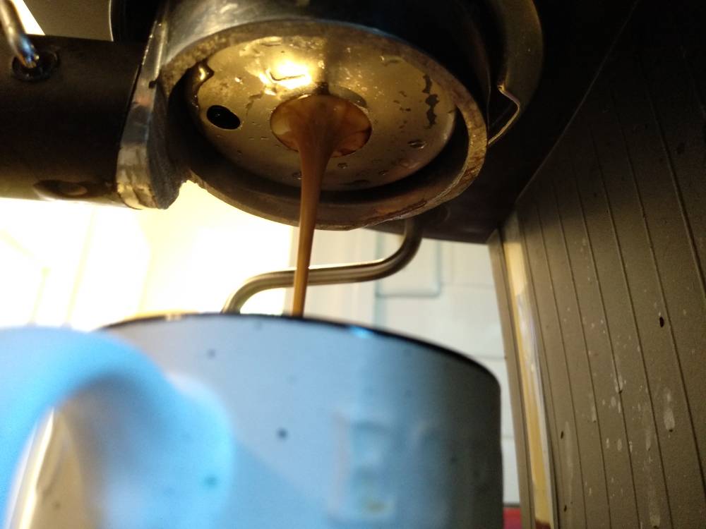IMG_20190511_151733.jpeg