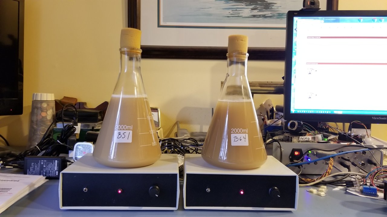 dueling_yeast_1.jpg