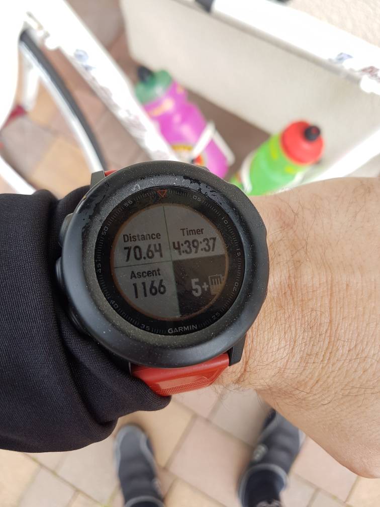 20190517_142804.jpg