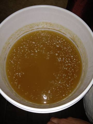 beer 1.jpg beer 1.jpg