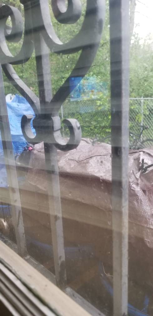 20190603_160837.jpeg