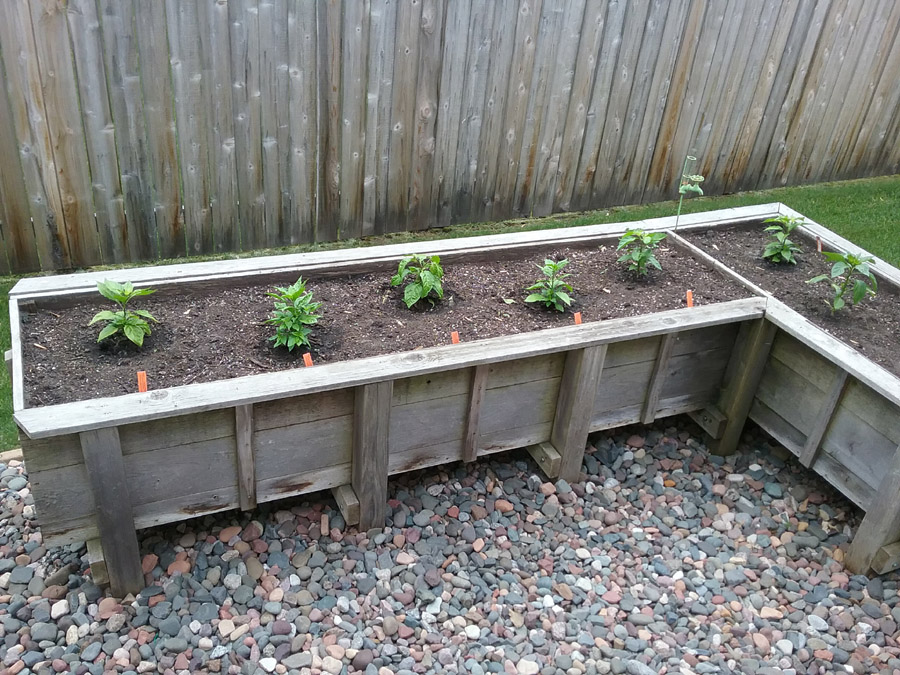 peppers1.jpg