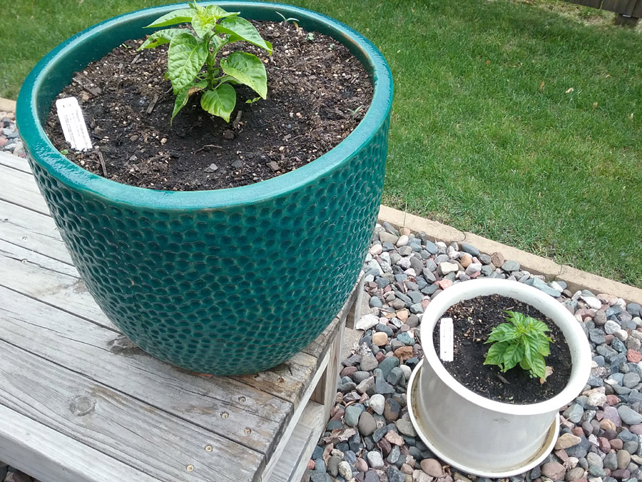 peppers2.jpg
