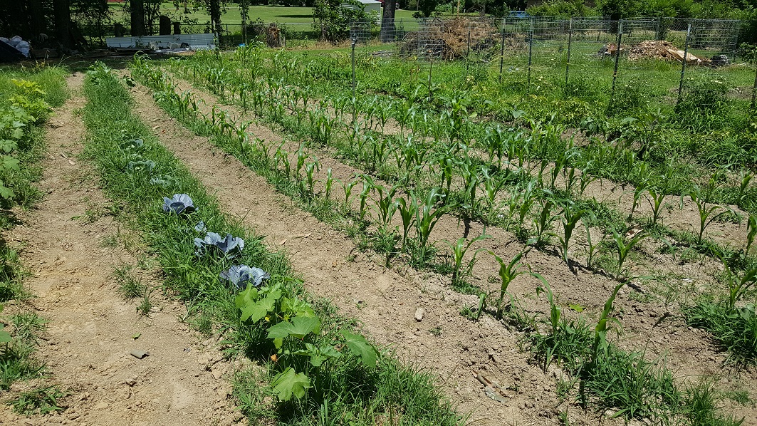 20190616_133841.jpg