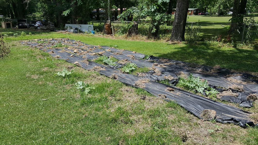 20190616_134536.jpg