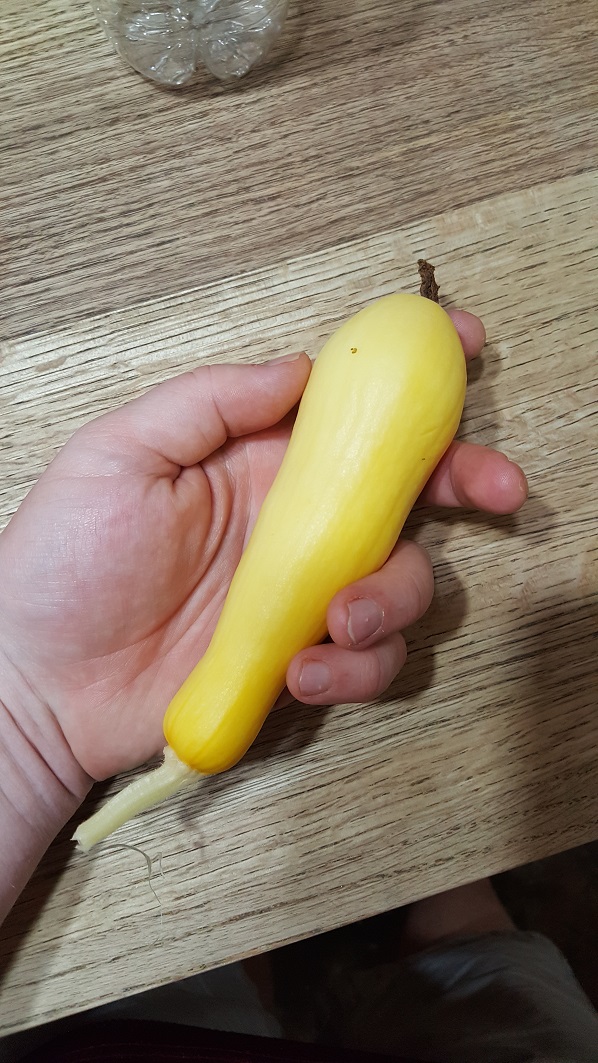 20190616_135423.jpg
