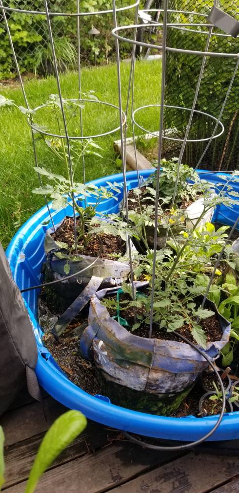 20190618_174431.jpeg