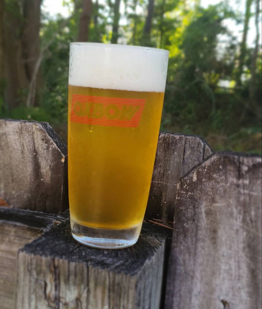 20190625_181127.jpeg